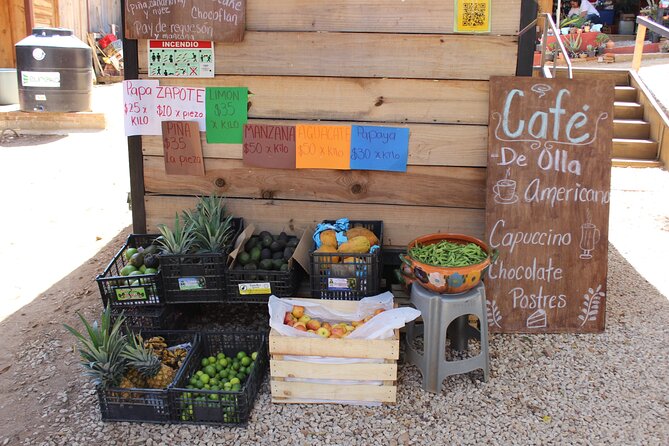 Oaxacan Cheese and Quesillo Workshop - Who will enjoy this workshop most?