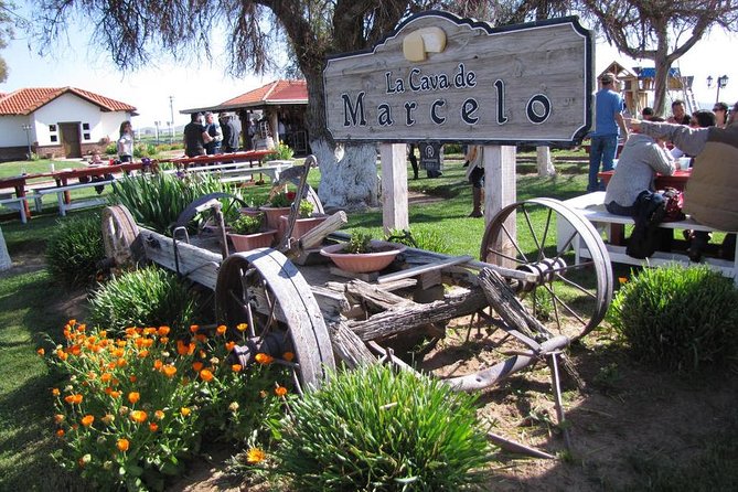 Ojos Negros Valley Wine and Cheese Route Tour in Baja California - Key Points to Know Before Booking