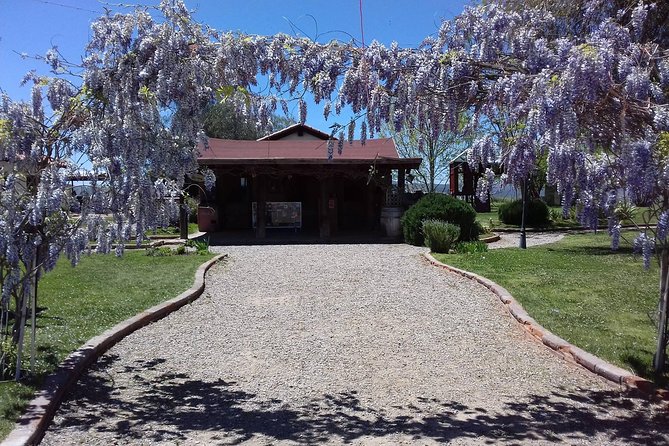 Ojos Negros Valley Wine and Cheese Route Tour in Baja California - Why Ojos Negros Makes a Good Day Trip from Ensenada