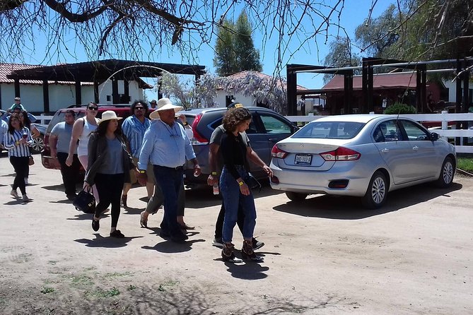 Ojos Negros Valley Wine and Cheese Route Tour in Baja California - Finishing at an Ensenada Wine Bar