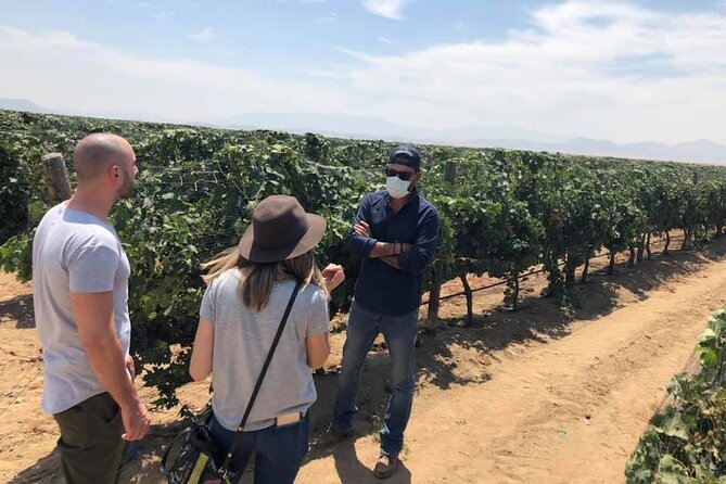 Ojos Negros Valley Wine and Cheese Route Tour in Baja California - Guides, Transport, and Group Size