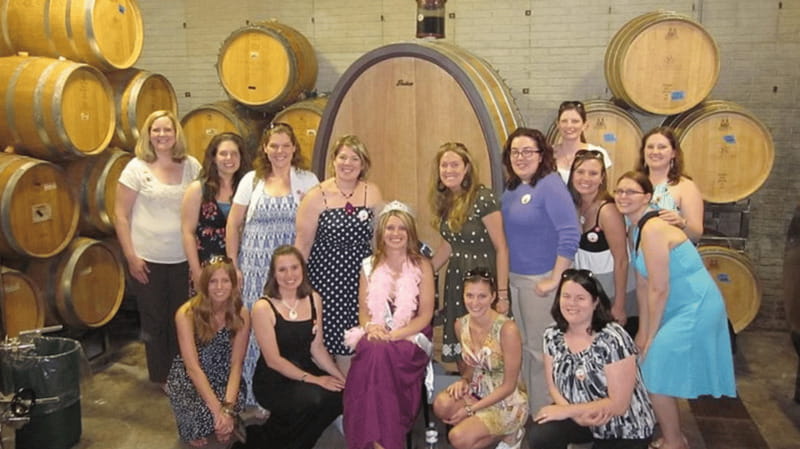 Ontario: Afternoon Wine Tour and Cheese Pairing - Three wineries, three different views of Niagara wine