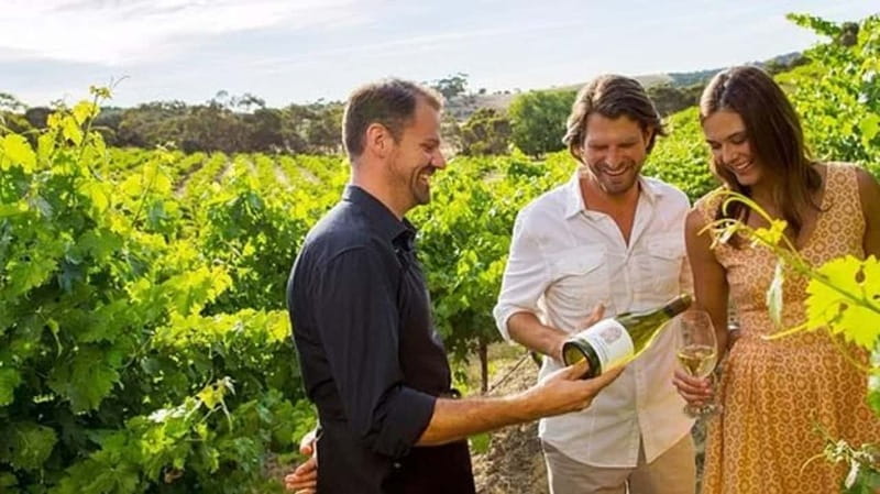 Ontario: Afternoon Wine Tour and Cheese Pairing - Tasting three to four wines at every stop