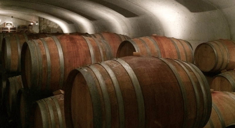 Ontario: Afternoon Wine Tour and Cheese Pairing - The cheese pairing: a useful extra, not lunch