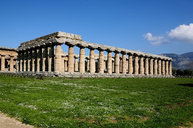 Paestum, Buffalo Mozzarella tasting and light lunch private tour - A Practical Way to Plan the Day