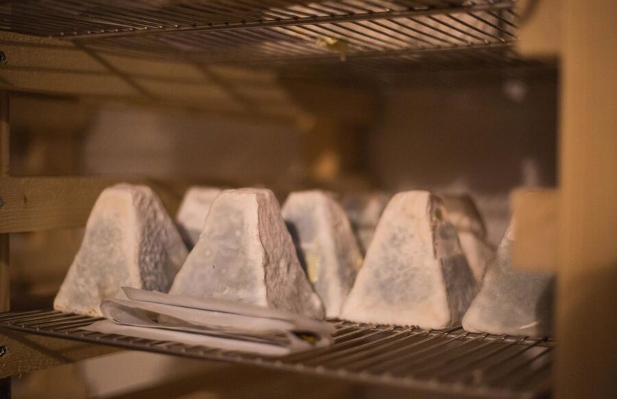 Paris: Cheese and Wine Class in a 17th Century Cellar - Key points to know before booking