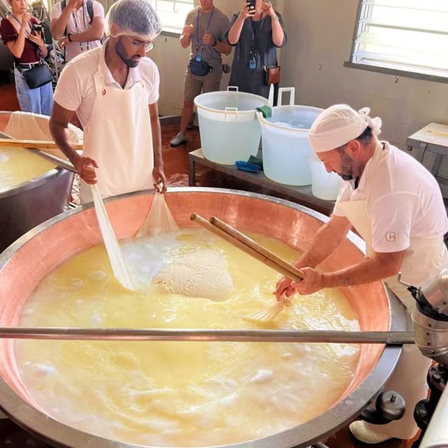 Parma: Cheese, Ham, & Balsamic Vinegar Tour with Tastings - Should you book this Parma food tour?