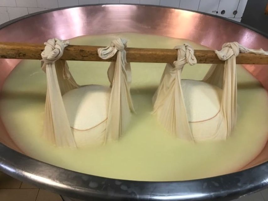 Parma: Parmigiano Production and Parma Ham Tour & Tasting - The Tastings: Cheese, Ham, and a Glass of Wine