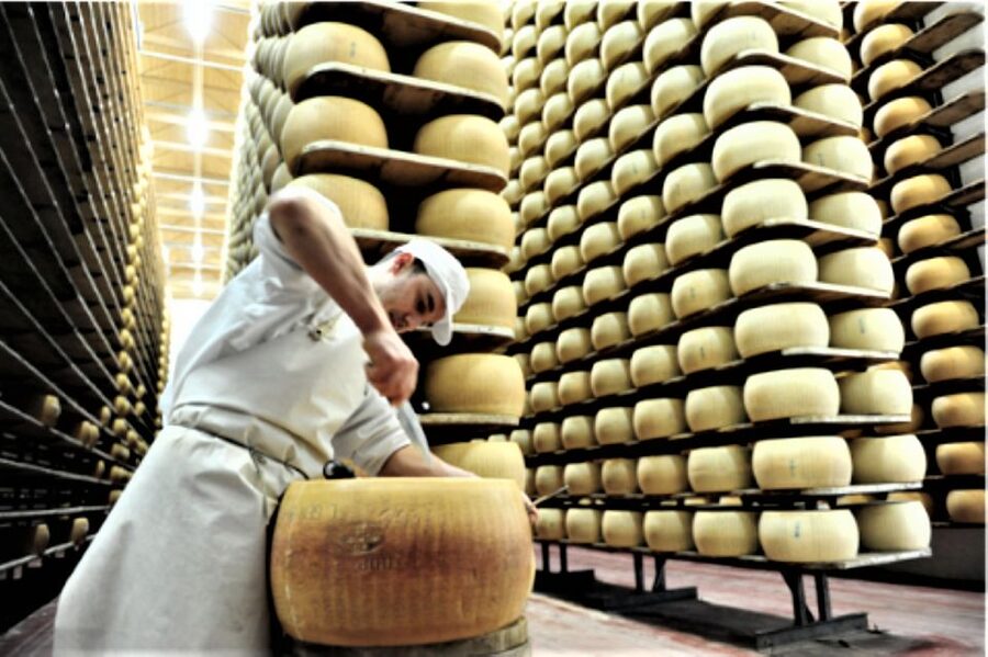 Parma: Parmigiano Production and Parma Ham Tour & Tasting - Is $126.88 a Fair Price?