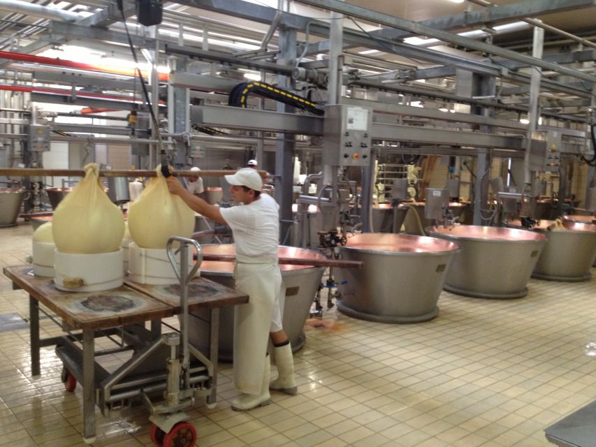 Parma: Parmigiano Reggiano Farm Tour & Tasting with Transfer - Why this Parma cheese tour is worth your morning