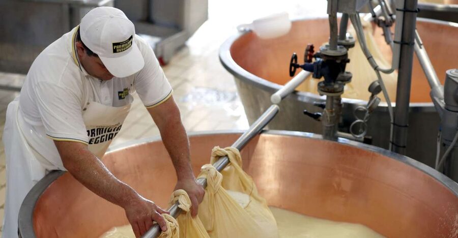 Parma: Parmigiano Reggiano Farm Tour & Tasting with Transfer - The guides make the difference