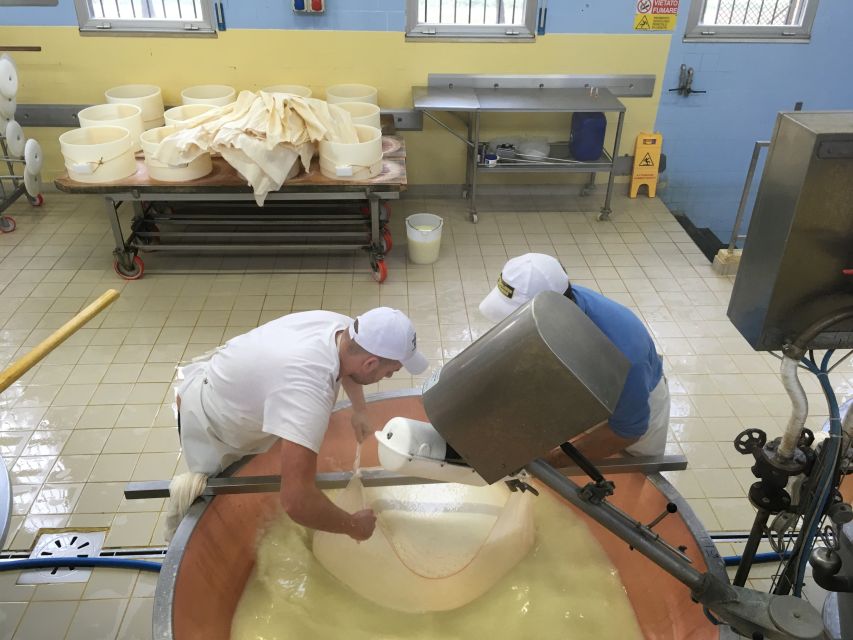 Parma: Parmigiano-Reggiano Tour and Tasting - Why this Parma cheese visit is worth your time