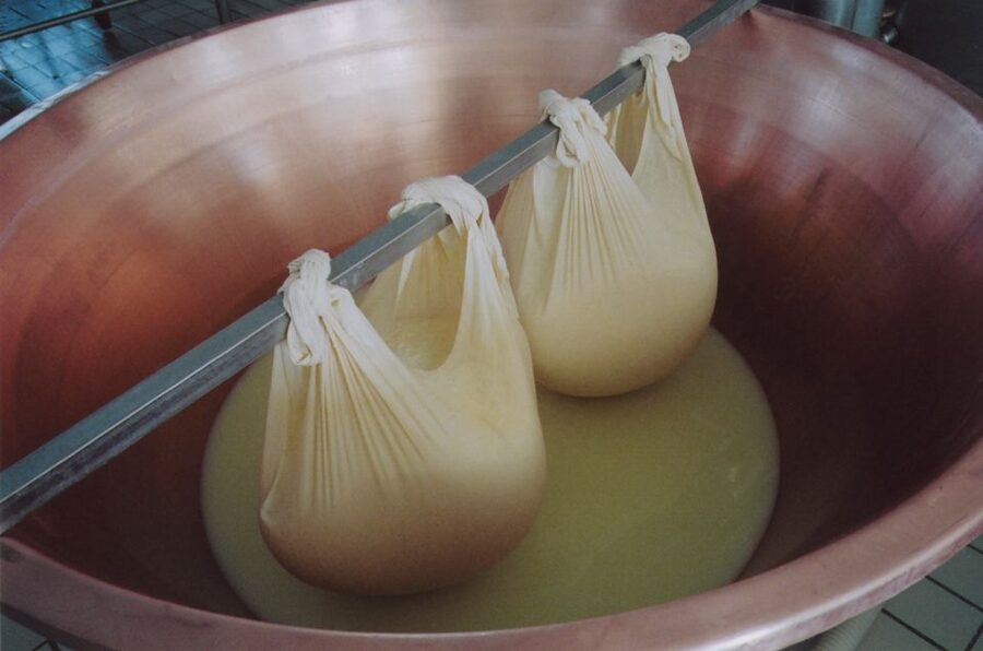 Parma: Traditional Cheese Factory Visit with Tasting - The aging room and the fire-branding test
