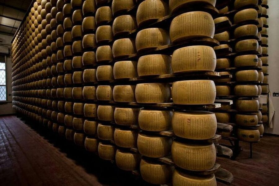 Parma: Traditional Cheese Factory Visit with Tasting - The tasting: aged cheese, wine, and local pairings