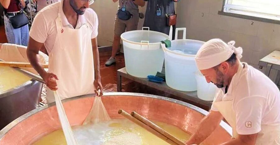 Parma: Traditional Cheese Factory Visit with Tasting - Meeting at NH Parma at 8:30