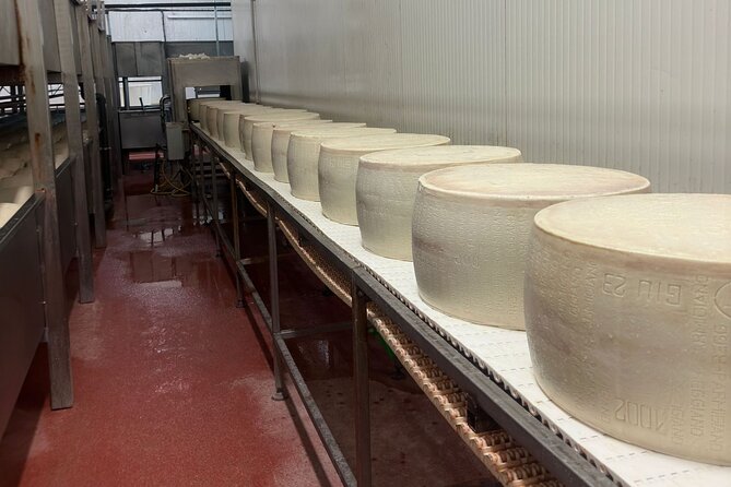Parmesan and Balsamic Food Tour with Ferrari Museum - The vehicle, group size, and comfort