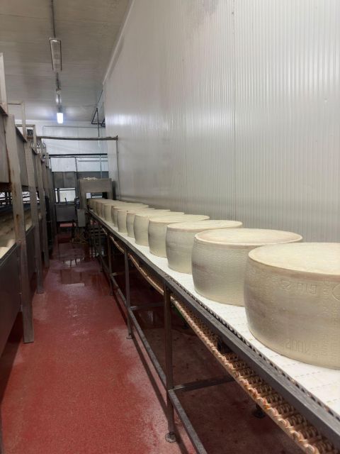 Parmesan and Balsamic Food Tour with Ferrari Museum - Who will enjoy this six-hour outing