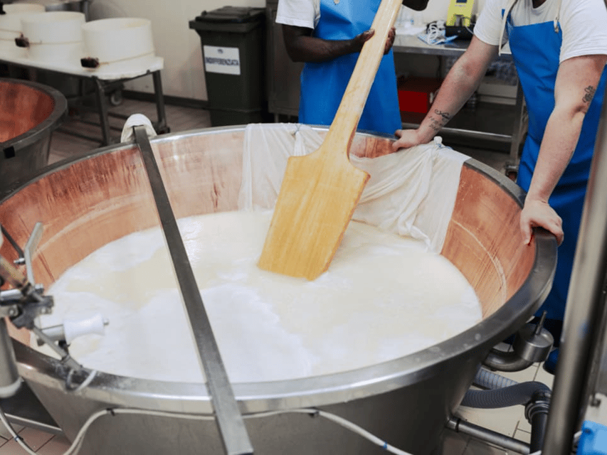 Parmesan Cheese Factory Tour & Tasting near Parma - Why the 7:30 AM and 8:30 AM starts matter