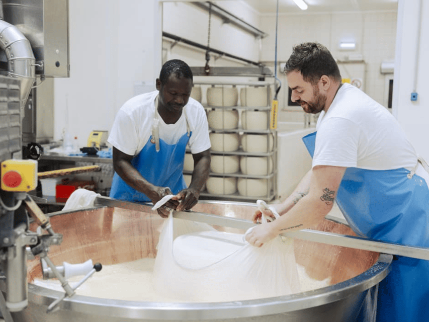Parmesan Cheese Factory Tour & Tasting near Parma - Guides who make the process easy to follow