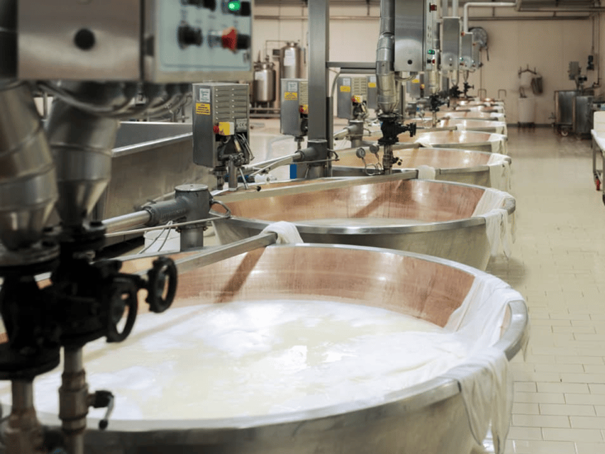 Parmesan Cheese Factory Tour & Tasting near Parma - Is $65 a fair price?