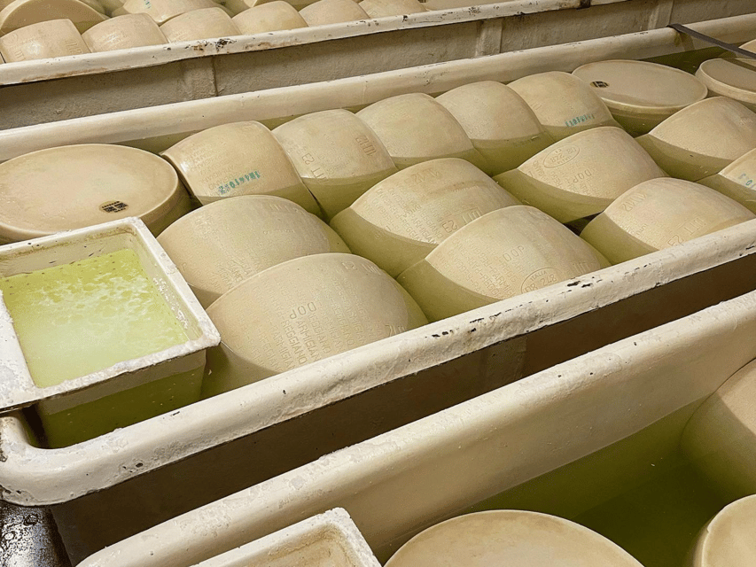 Parmesan Cheese Tour & Tasting in Modena - Comparing young and old Parmigiano Reggiano