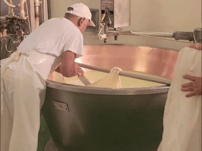 Parmesan Cheese Tour & Tasting in Modena - Lambrusco and the cheese pairing