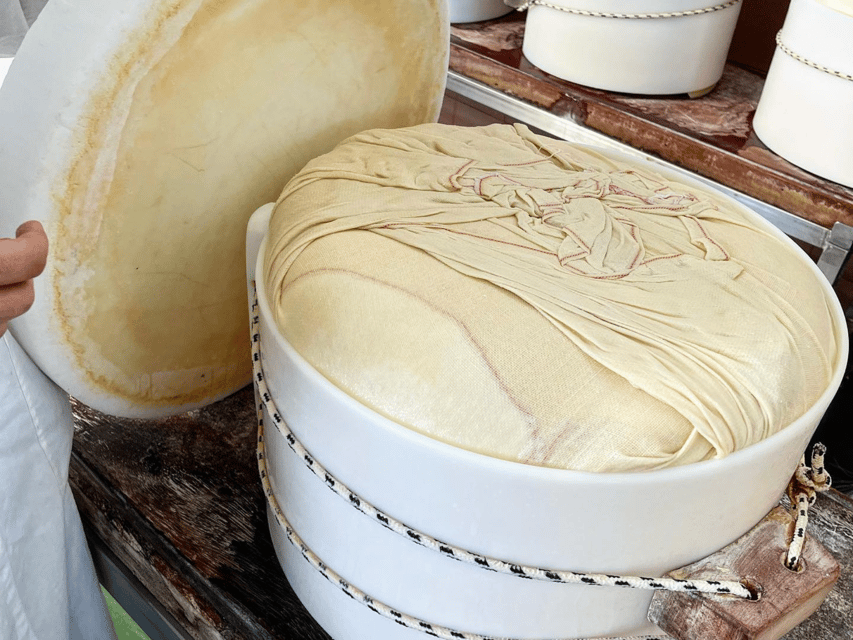 Parmesan Cheese Tour & Tasting in Modena - A one-hour schedule that respects your time