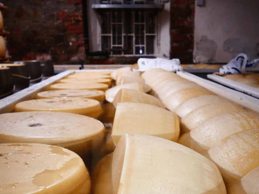 Parmesan Wheels near Parma: Tasting & Factory Tour - The seasonal farm and calf visit