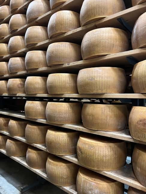 Parmesan, Wine, Balsamic Full Day Tour with Lunch - Pickup from Bologna or Modena