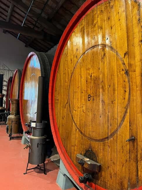 Parmesan, Wine, Balsamic Full Day Tour with Lunch - What the guide arrangement means for you