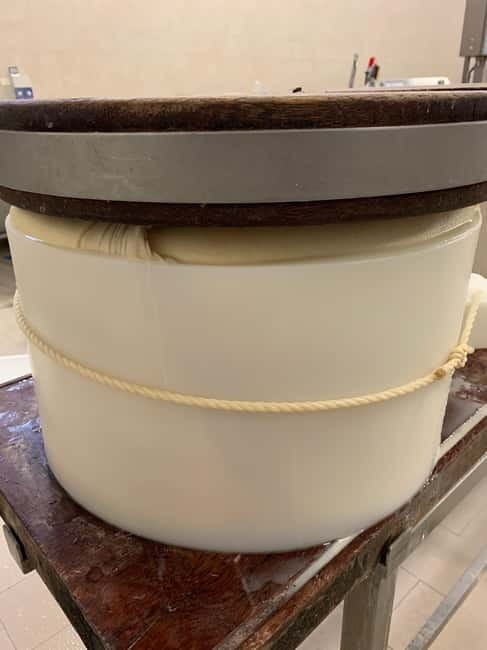 Parmesan, Wine, Balsamic Full Day Tour with Lunch - Who will get the most from this tour