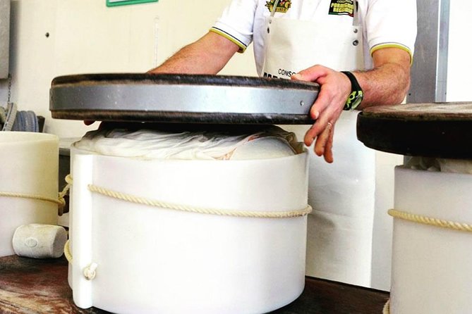 Parmigiano & Balsamic Artisans: In-Depth Private Tour and Tasting - The Drawbacks You Should Know Before Booking