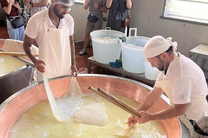 Parmigiano Cheese Factory Visit and Tasting - From Parma station to a working dairy