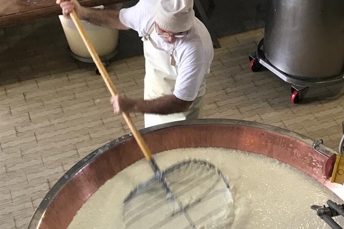 Parmigiano Cheese Factory Visit and Tasting - Watching Parmigiano Reggiano take shape