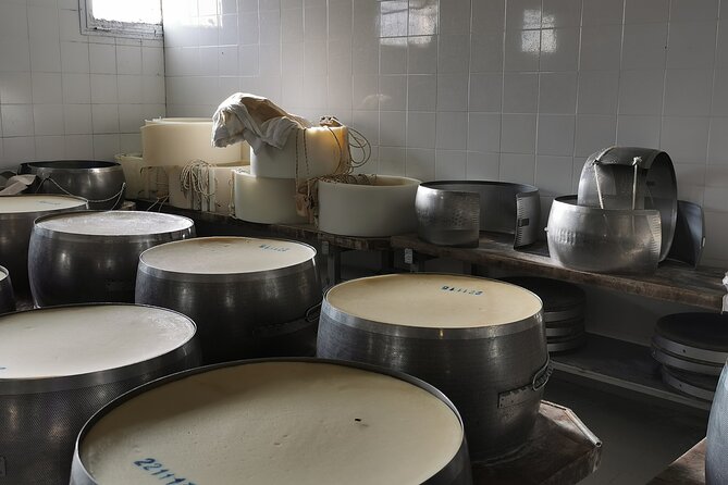 Parmigiano, Prosciutto and Traditional balsamic Tour from Bologna - Should you book the Parmigiano, Prosciutto and Traditional Balsamic Tour?