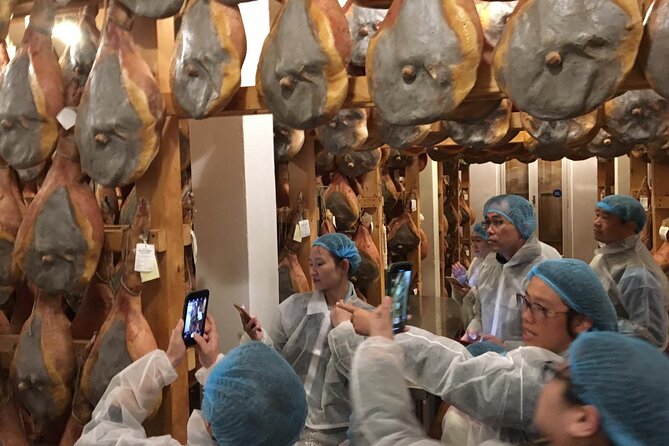 Parmigiano-Reggiano and Parma Ham Small Group Tour - Inside the Parmigiano-Reggiano dairy