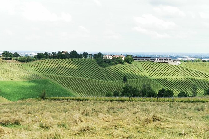 Parmigiano Reggiano, Balsamic Vinegar and fresh pasta tour - Key points to know before booking