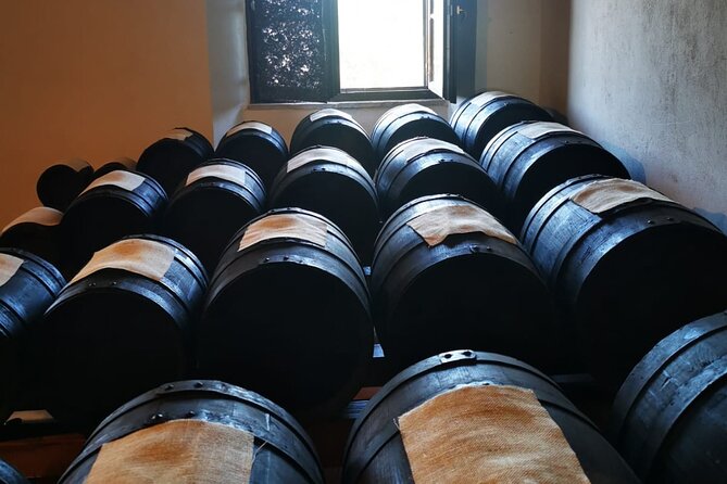 Parmigiano Reggiano, Balsamic Vinegar and fresh pasta tour - Making pasta with Alice
