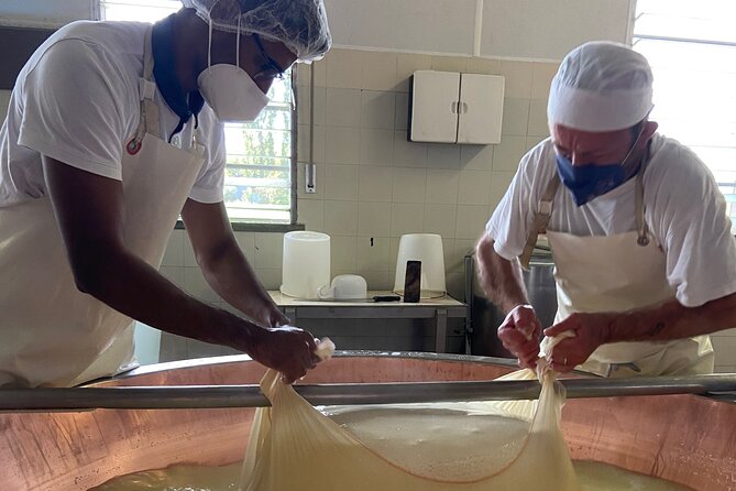Parmigiano-Reggiano Cheese Factory Small group Tour From Parma - The brining room and the patient aging process