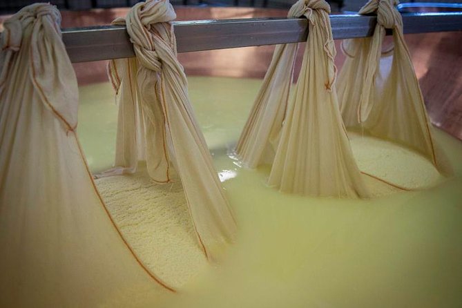 Parmigiano Reggiano Cheese Factory Tour & Tasting Experience - Breakfast in the countryside at 8:00 am