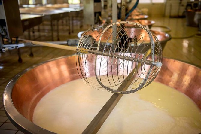 Parmigiano Reggiano Cheese Factory Tour & Tasting Experience - Meeting the cows behind the cheese