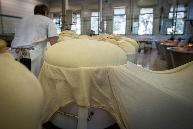 Parmigiano Reggiano Cheese Factory Tour & Tasting Experience - The aging room and the three cheese samples
