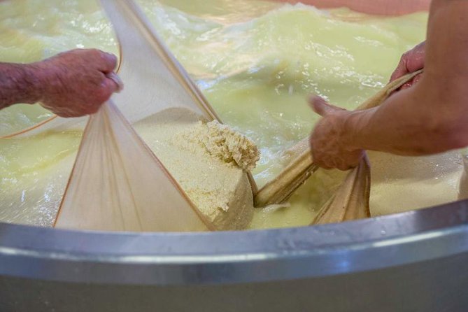 Parmigiano Reggiano Cheese Factory Tour & Tasting Experience - Who will enjoy this morning most