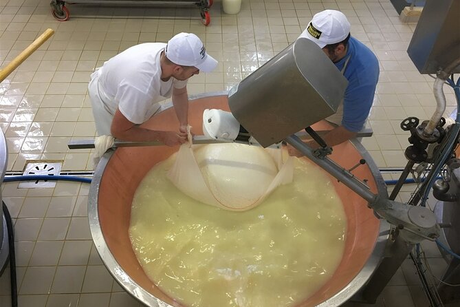 Parmigiano-Reggiano Tour and tastings - Why this dairy visit feels different from a cheese shop stop