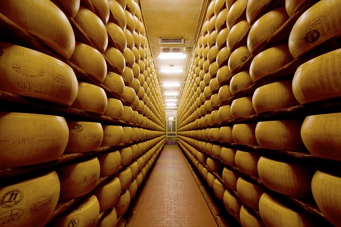 Parmigiano-Reggiano Tour and tastings - Shaping, salting, and the long wait