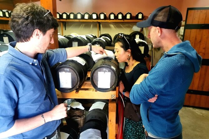 Parmigiano Wine and Balsamic Vinegar Experience from Bologna - Wine in the Bologna hills with tigelle and salami