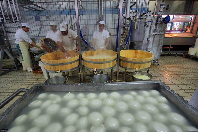 Pastum and Buffalo Mozzarella Drive - The drive from Naples in a private air-conditioned vehicle