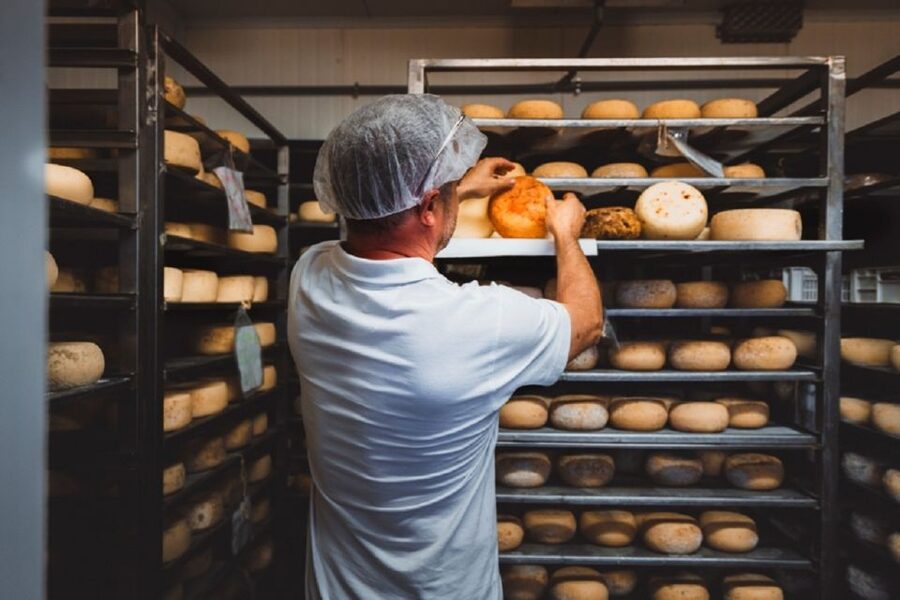 Pienza: Dairy Farm Tour with Pecorino Cheese Tasting - Key points to know before you book