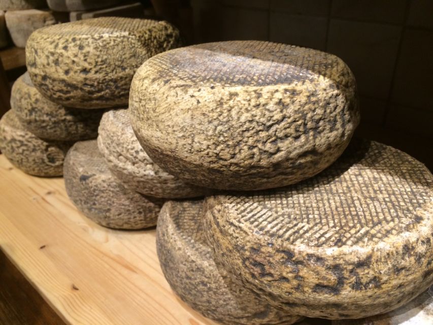 Pienza: Dairy Farm Tour with Pecorino Cheese Tasting - Why this Pienza cheese tour is more than a tasting