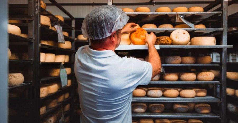 Pienza: Dairy Farm Tour with Pecorino Cheese Tasting - Seeing how milk becomes Pecorino